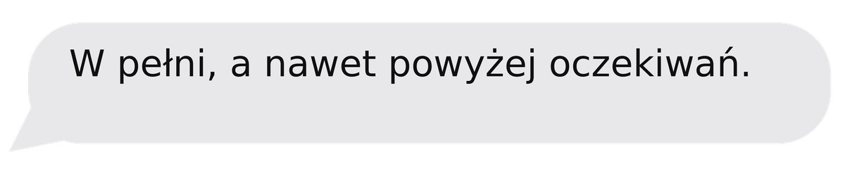 Opinia po warsztacie: W pełni, a nawet powyżej oczekiwań.